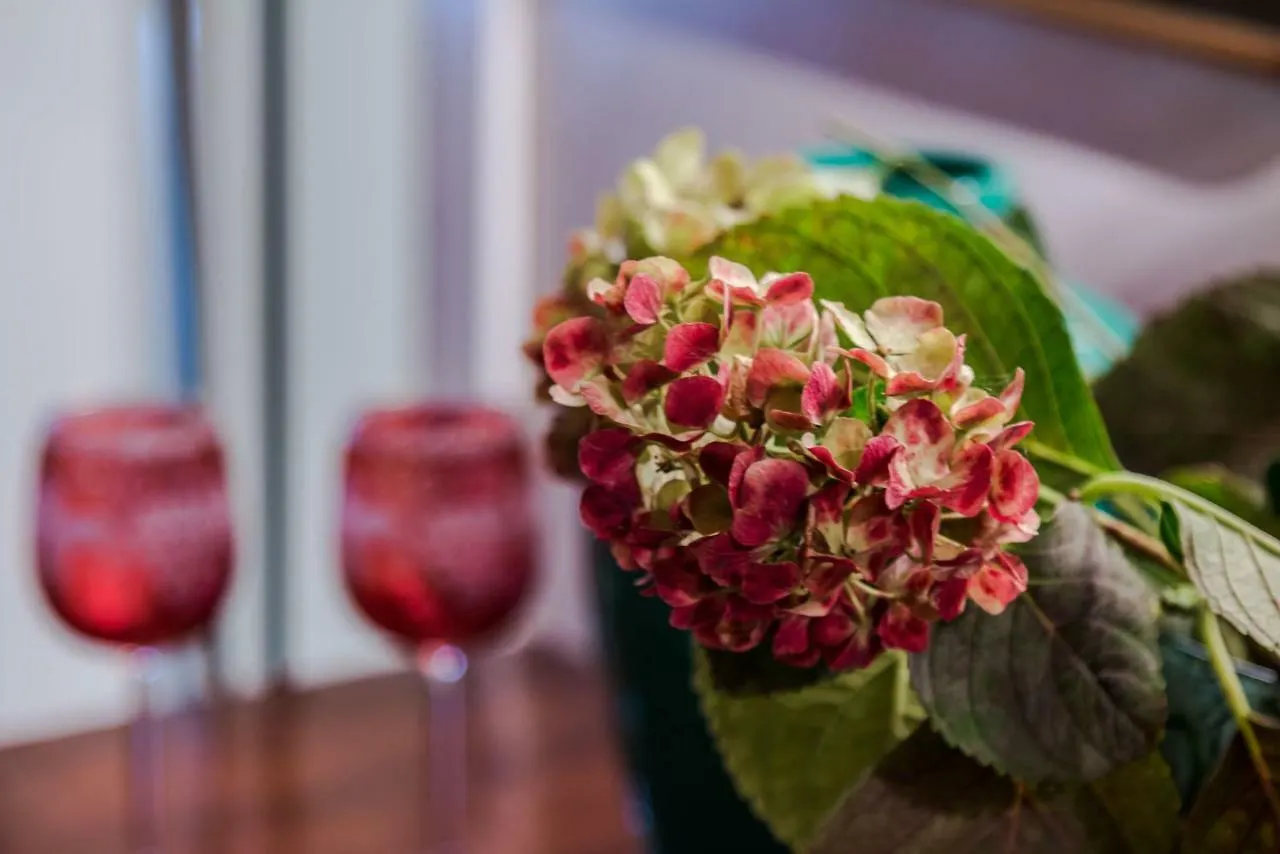 Guest house Le Stanze Del Corso Hotel Vicenza